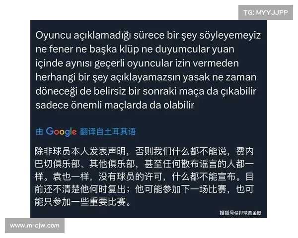 意甲球迷管理新政：个体行为或导致集体观赛受限